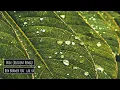 Ben Böhmer feat. lau.ra - Erase (Rezident Remix)