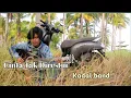 Download Lagu Cinta Tak Direstui | Kadal Band