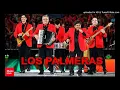 Los Palmeras - doble vida (audio oficial)