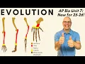 AP Bio Evolution Unit 7 Mega-Review 25 26 From Natural Selection to Speciation to Phylogeny