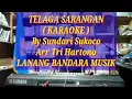 TELAGA SARANGAN,KARAOKE,Tri Hartono,LANANG BANDARA MUSIK