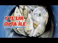 Download Lagu Kıyıdan En Ucuz ve Kolay Balık Yakalama Şekli / Şeytan Oltası