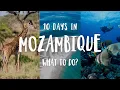 Download Lagu A Beginner’s Guide To Mozambique | Travel 2025