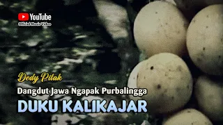 Download Dedy Pitak - DUKU KALIKAJAR Lagu Ngapak Wong Purbalingga ©dpstudioprod [Official Music Video] MP3