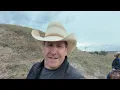 Cattle Drive American Cowboy With Mike Tobin