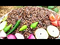 Download Lagu How to cook and fry edible stinking bamboo insects.  #cookingtips #cooking 