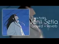 Download Lagu Janji Setia (Slowed + Reverb)