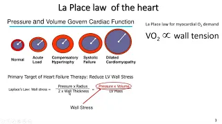 laws of the heart as applicable for exercise professionals la place law