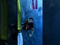 Download Lagu Remember… to care about what truly matters to you #diving #padi #ssi #redsea