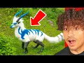 Download Lagu RARE Animals That ACTUALLY EXIST!!