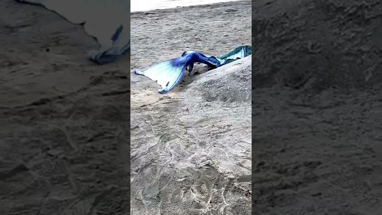 Real Mermaid Found on the Beach at Local Lake ???? JK I made this!