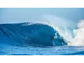 Alex Gray Cover