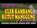 Download Lagu Gending Jawa Klasik Uler Kambang Kutut Manggung - Uyon uyon Gending Kagem Jampi Sayah