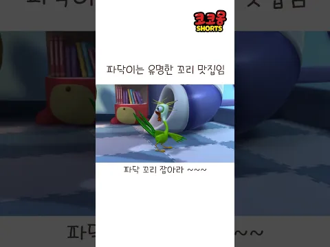 파닥이 꼬리잡기~~ #코코몽 #cocomong #shorts #쇼츠