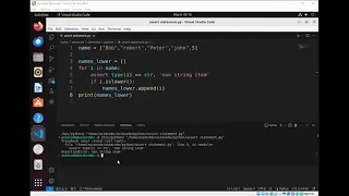 Assert statement to check or debug your code in Python