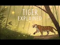 Tiger Chinese Zodiac Deep Dive Power Instinct Passion
