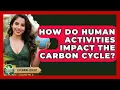 How Do Human Activities Impact The Carbon Cycle - Explaining Ecology