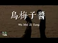 Download Lagu Li Rong Hao (李榮浩) - Wu Mei Zi Jiang (烏梅子醬) Lyrics 歌词 Pinyin/English Translation (動態歌詞)