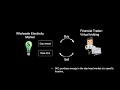 Algorithmic Trading of Virtual Bids in Electricity Market