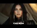 Azimov - Cold Wind (Original Mix)