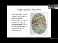 All About Fingerprints