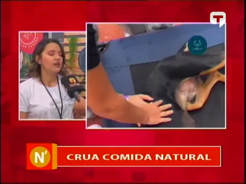 Crua Comida Natural