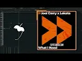 Joel Corry x Lekota - What I Need (FL Studio Remake)
