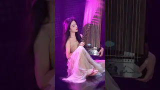 Guzheng Don T Let Love Wither Shorts 