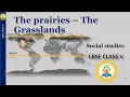 Download Lagu The prairies | The Grasslands | Class 4 | What is known as the prairies? Where are the grasslands?