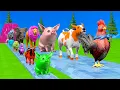 Download Lagu Long Slide Game With Cow Elephant Gorilla Hippopotamus Tiger 3d Animal Game Funny 3d Animals