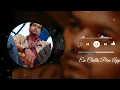 Download Lagu En Chella Peru Apple - Pokkiri Vijay Movie Songs MP3 HD