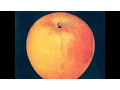 Download Lagu Apple - 1969 - An Apple a Day [Full Album, Remastered] HQ