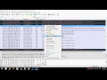 IRC Botnet