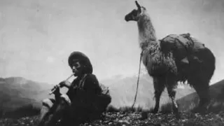 danza de los sicuris