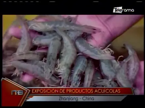 Exposición de productos acuícolas Zhanjiang China