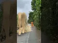 Download Lagu Big sand sculpture catwalk-3🤯3D special effects Green screen | #youtubeshorts #shorts