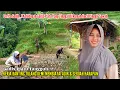 Download Lagu GADIS TANGGUH❗POTRET AKTIVITAS NENG RINI GADIS PIATU DAN TANGGUH KERJA BANTING TULANG DEMI KELUARGA