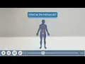 Cognitant case study Helping patients understand chronic kidney disease CKD