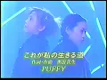 PUFFY - Kore ga Watashi no Ikiru Michi (Utaban Episode 1 - October 15, 1996)