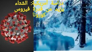 دراسة أمريكية  الشتاء يزيد من قدرة فيروس كورونا على العدوى دندنها