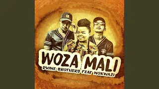 woza mali original mix 