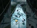 Glass Bridge Collapse in China Caught on Camera! 😱
