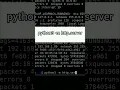 Create a Local Web Server in Seconds Using Python