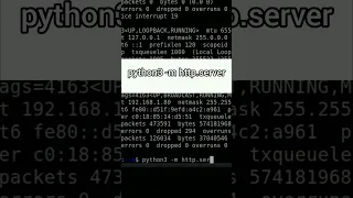 Create a Local Web Server in Seconds Using Python