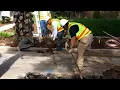How does Denver Water schedule lead service line replacement