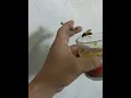 Download Lagu kopi kopi maseh