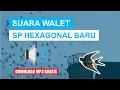 Download Lagu SUARA PANGGIL HEXAGONAL BARU LAGI.