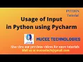 How to use Inputs in Python using Pycharm