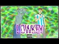 Download Lagu DELT ft. Handhel - LOWKEY (Prod. SknyOner \u0026 BeatLag)