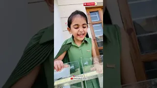 Bhandara Lover Shorts YouTubeShorts Trending Samayra Narula Share Like Subscribe 